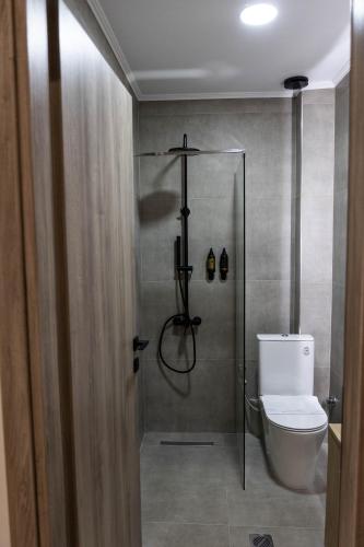 a bathroom with a shower with a toilet in it at Aesthe Suites Noir in Xanthi