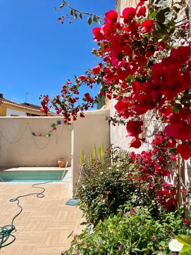 a garden with red flowers next to a swimming pool at La Casa De Los Gatetes in Dúrcal