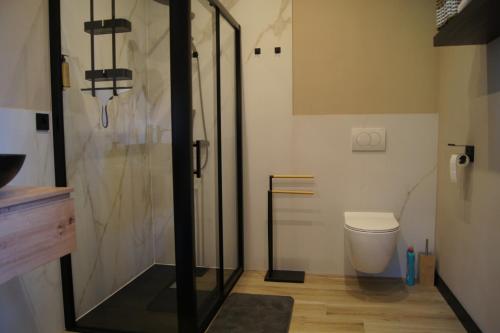 a bathroom with a shower and a toilet at Drau Lodge in Wernberg