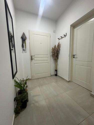 Φωτογραφία από το άλμπουμ του Aurea σε San Luis