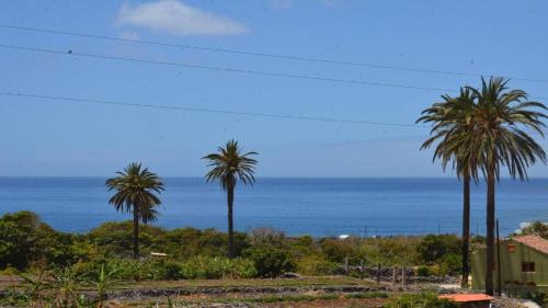 Apt. Heliconia Nº 4