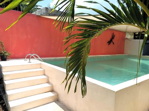 a pool with stairs and a palm tree next to it at El Turix Bacalar in Bacalar