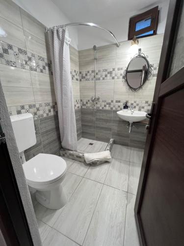 a bathroom with a toilet and a sink at Casa Muntilor Prejba in Rau Sadului