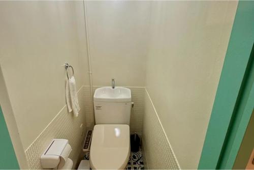 a small bathroom with a white toilet in a room at 白浜ペットフレンドリーハウス in Shirahama
