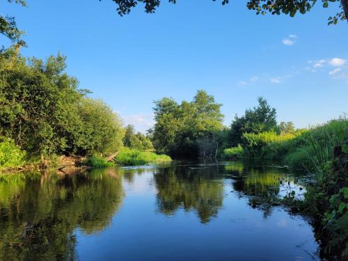 a river with trees on the side of it at Wiosłem w Hamaku Domek nad Wkrą 