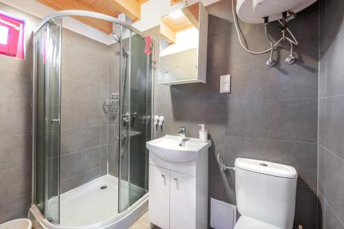 a bathroom with a shower and a toilet and a sink at Kolorowe Domki in Pobierowo