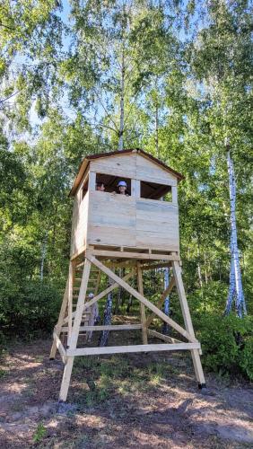 a tree house with a person looking out of it at Wiosłem w Hamaku Domek nad Wkrą 