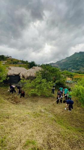 a group of people standing in a field with cows at Táo Tày House in Sa Pa