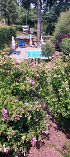 a garden with a swimming pool and pink flowers at La Mazille , cossy vakantiestudio met zwembad in zuid-Bourgogne in Anglure-sous-Dun