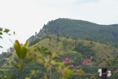 a mountain with pink flowers in front of it at Secret View Homestay Ella in Ella