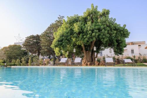 a pool with chairs and a tree in the background at Masseria Il Vignale in Ostuni