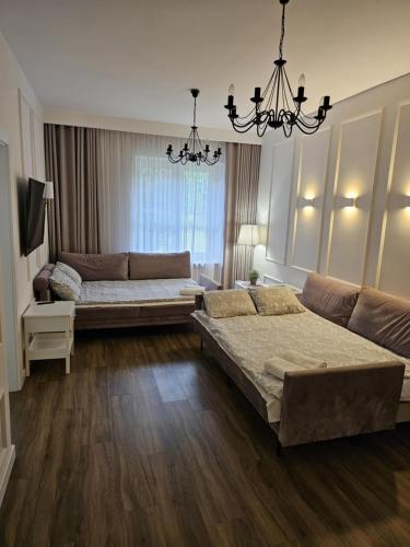 a living room with a bed and a couch at Apartament ,, Studio '' in Nasutów