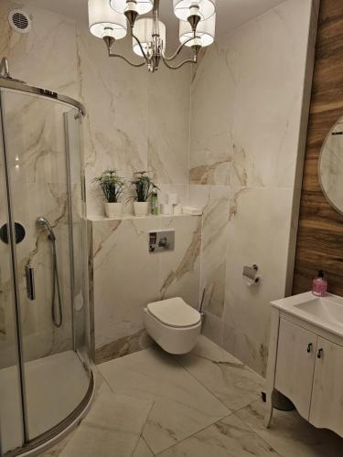 a bathroom with a shower and a toilet and a sink at Apartament ,, Studio '' in Nasutów