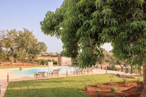 a swimming pool with a group of chairs and a tree at Masseria Il Vignale in Ostuni