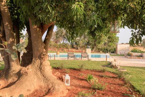a tree in a yard with a swimming pool at Masseria Il Vignale in Ostuni