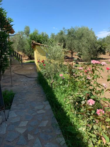 Gallery image of Christinas Home in Amaliás