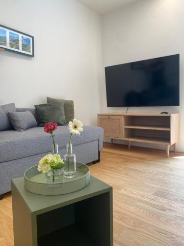 a living room with a couch and a tv at Neueröffnung! Gästezimmer im Herzen von Lauterach in Lauterach
