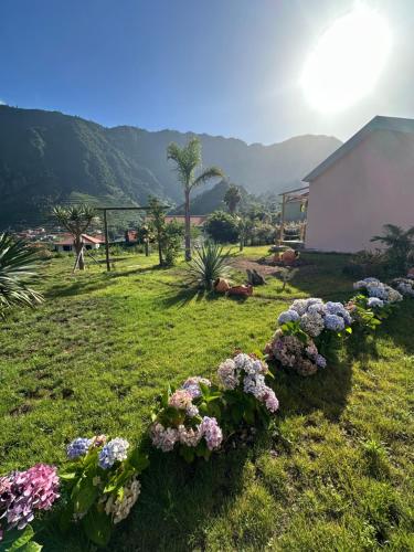 ein Blumenstrauß im Gras in der Nähe eines Gebäudes in der Unterkunft The Green Valley House in São Vicente
