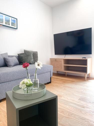 a living room with a couch and a tv at Neueröffnung! Gästezimmer im Herzen von Lauterach in Lauterach