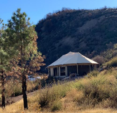 a tent in the middle of a field with a tree at Rancho Grande in Ojai