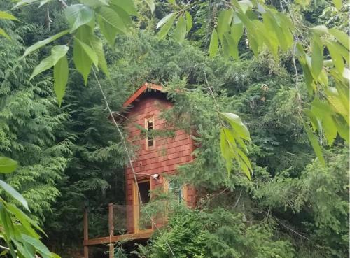 Vườn quanh Large Estate Venue 2 hot tubs 2 treehouses