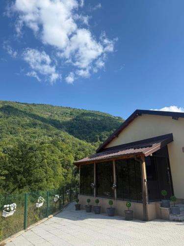 a building with potted plants in front of a mountain at Villa Rina in Bitola
