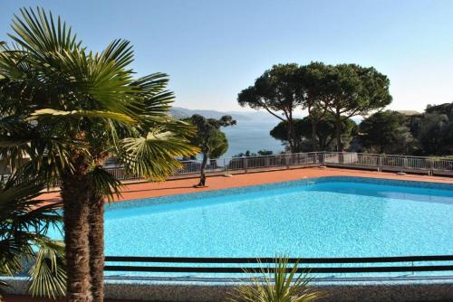 a swimming pool with a palm tree and the ocean at Il Poggetto - Apartment Sea View in Residence with Pool in Rapallo