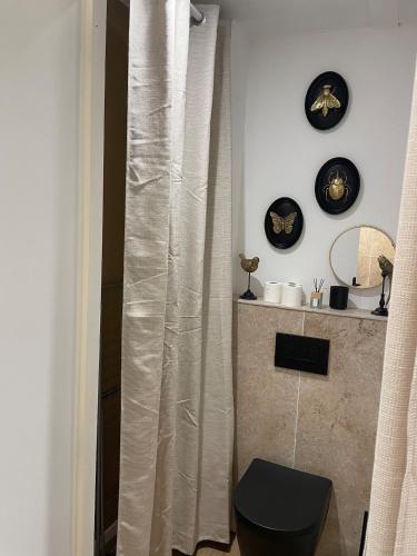 a bathroom with a shower curtain and a toilet at House in forest proche GR and circuit in Saint-Mars-la-Brière