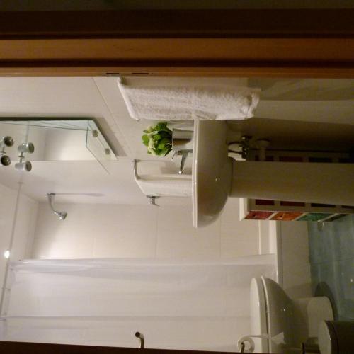 a bathroom with a sink and a toilet with a plant at Watching Azores Apartment in Ponta Delgada