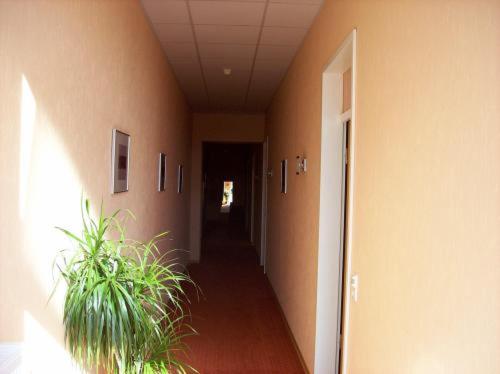 a hallway with two plants in a hallway at Econo Motel Goelzer in Büchenbeuren
