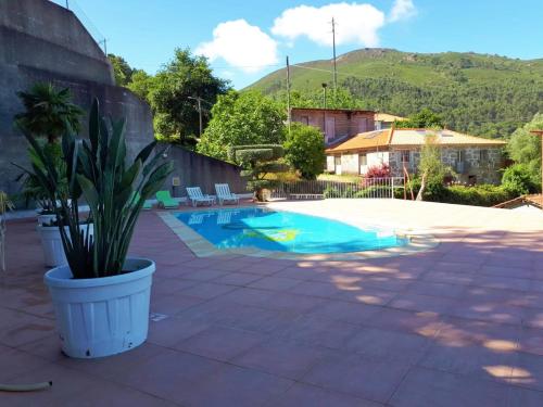 a pool with a potted plant next to a house at Casa da Idalina in Terras de Bouro