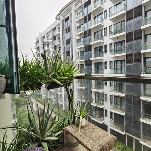 a balcony with potted plants and a large building at LDN Secret Crib 6E -Two Palm Tree in Manila