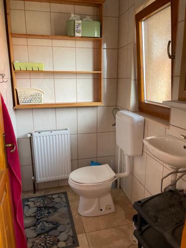 a small bathroom with a toilet and a sink at Ambrus vendégház in Gheorgheni