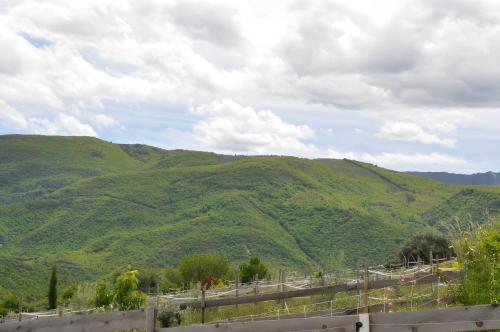a view of auliculiculiculiculiculiculiculiculiculiculiculic at Gite Manzafaro in Sisteron