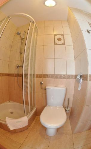 a bathroom with a toilet and a shower at Willa Hamernik AGROTURYSTYKA in Tylicz