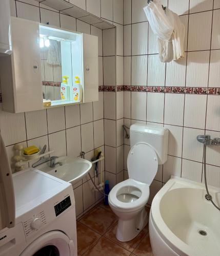 a bathroom with a toilet and a sink and a washing machine at New Hill house in Visoko