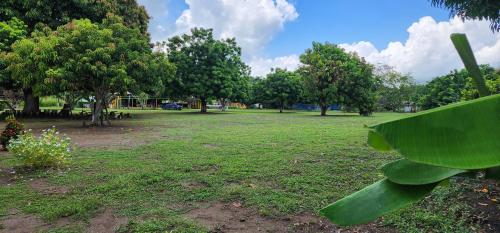 a park with trees and a field of grass at HOTEL CAMPESTRE CRISTALES cerca al mar By AMAUNA in San Bernardo del Viento