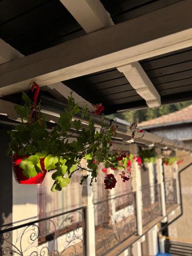Φωτογραφία από το άλμπουμ του Casa David σε Câmpulung Moldovenesc