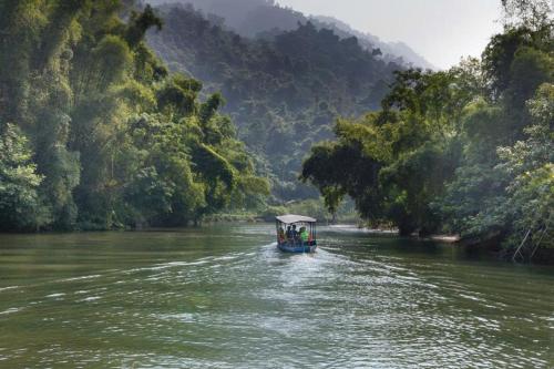 a boat traveling down a river in a jungle at Nam Pé Tày Homestay - View hồ Ba Bể in Bak Kan