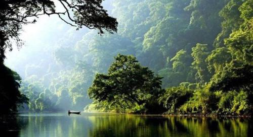 a boat in the middle of a river with trees at Nam Pé Tày Homestay - View hồ Ba Bể in Bak Kan