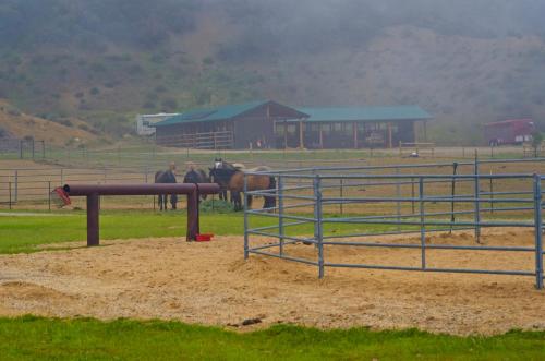 a group of people riding horses in a corral at Rancho Grande in Ojai