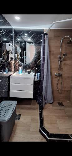 a bathroom with a shower and a sink at Apartman Živković in Leskovac