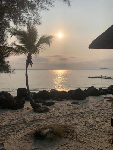 a palm tree on a sandy beach with the ocean at River Lodge Resort in Ntchogo