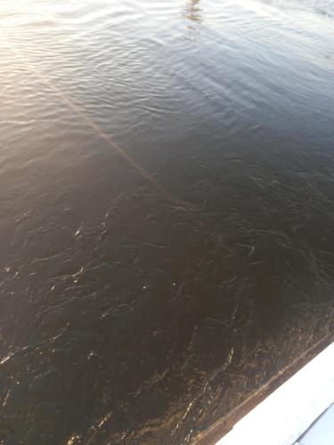 Φυσικό τοπίο κοντά σε αυτό το bed & breakfast