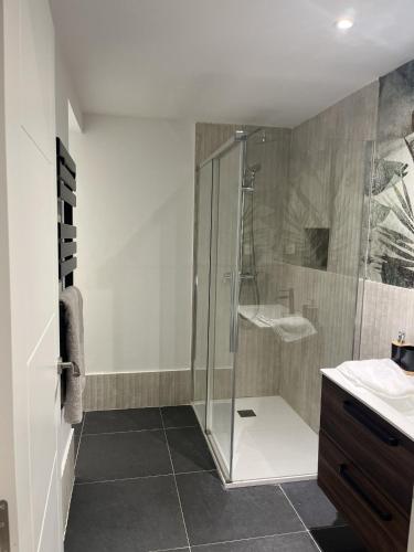 a bathroom with a shower with a glass door at Apartamento Blancanieves in Brihuega