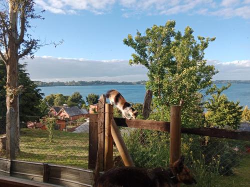 a cat standing on top of a wooden fence at Cabaña Génesis in Puyehue