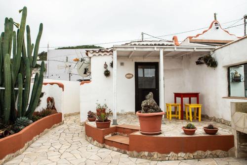 a house with a patio with cactuses and plants at Casa in The Clouds in Genovés