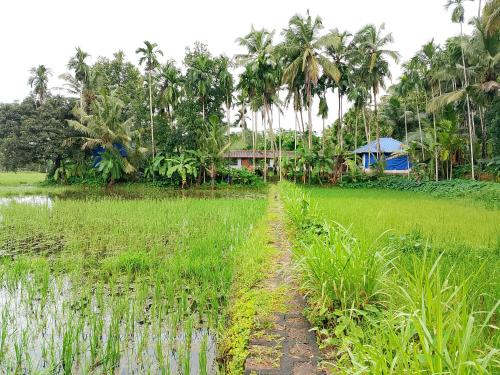 Taman di luar Kadaleevanam Yoga Academy