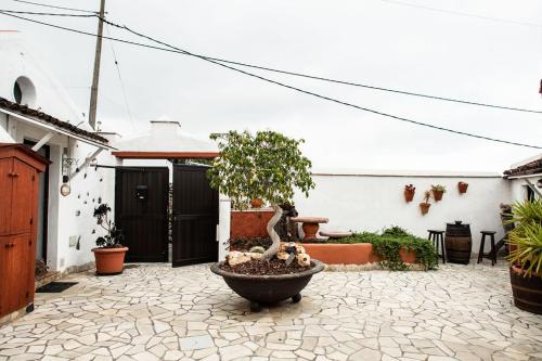 a courtyard with a bonsai tree in a pot at Casa in The Clouds in Genovés