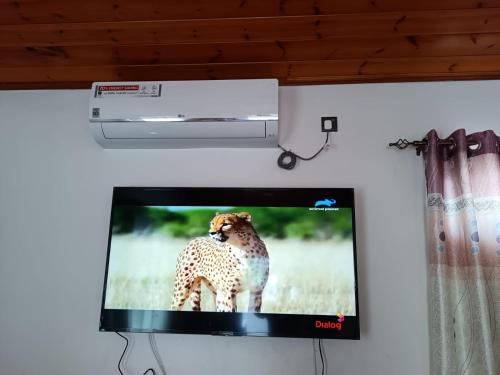 Edmon Beach Villaにあるテレビまたはエンターテインメントセンター